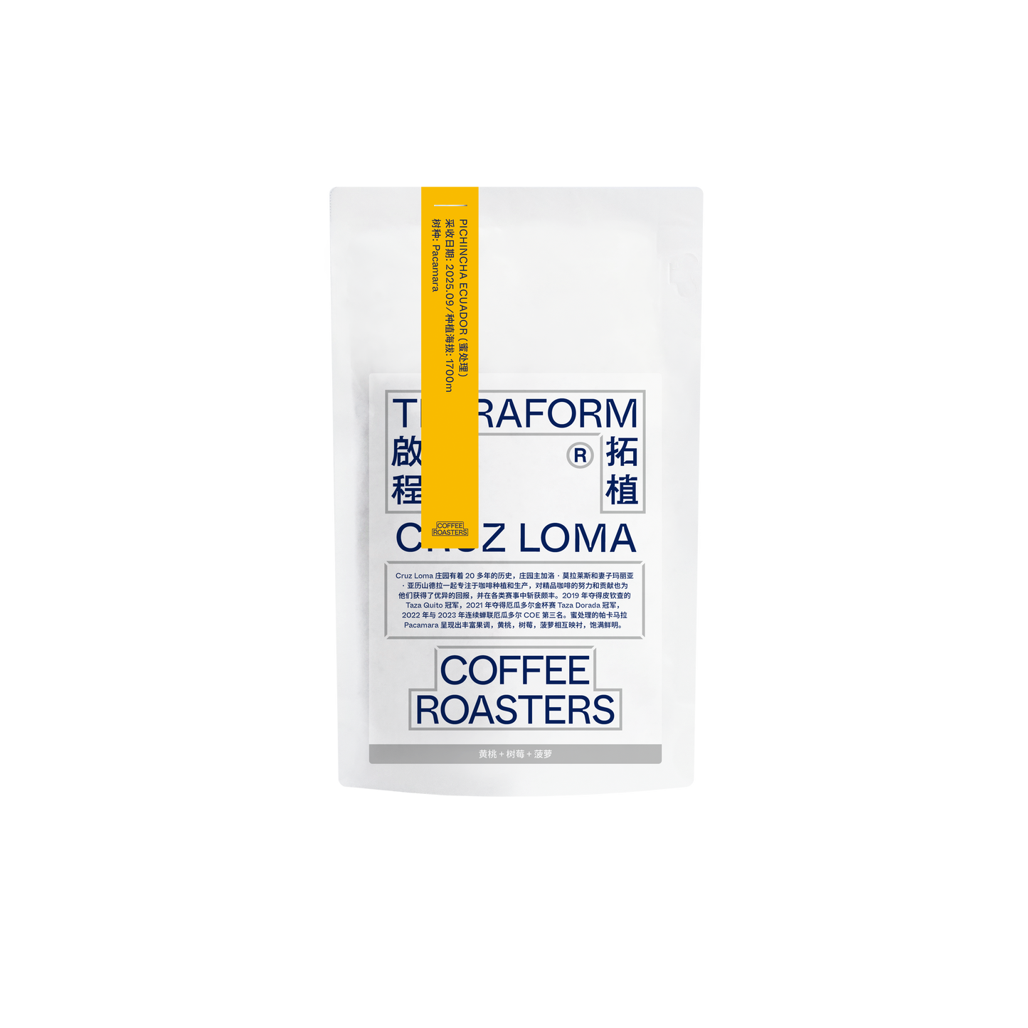 Ecuador - Cruz Loma, Pacamara